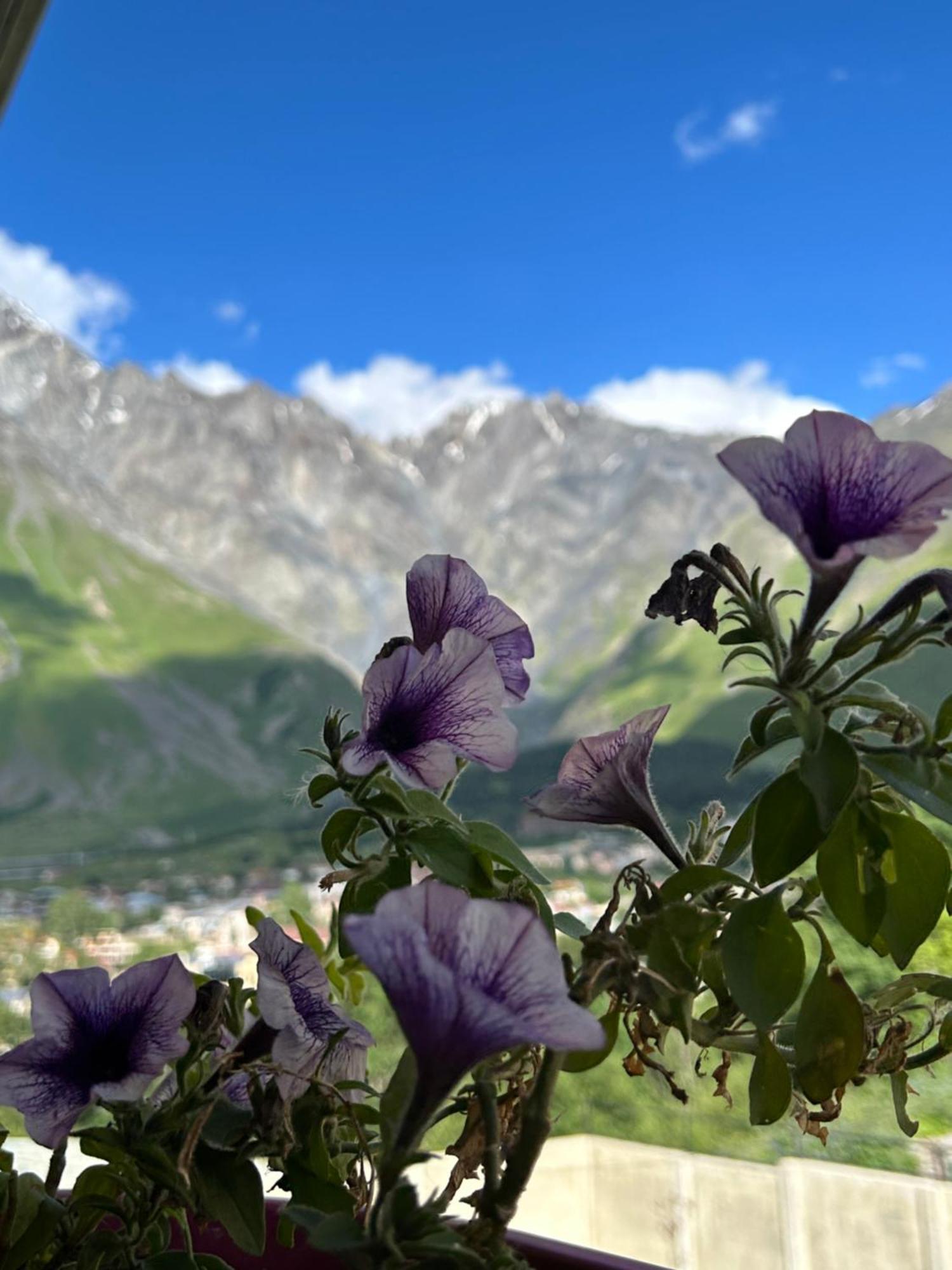 Hotel Hill House Kazbegi Exterior foto